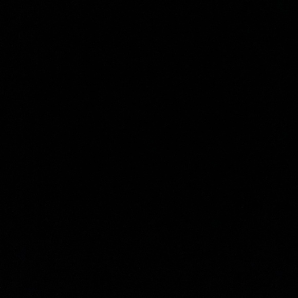 dyaa16911691